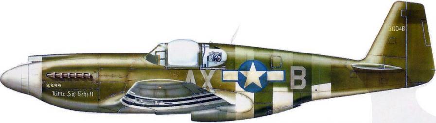 Mustang f 6a 107th trs lt col russ berg 1944