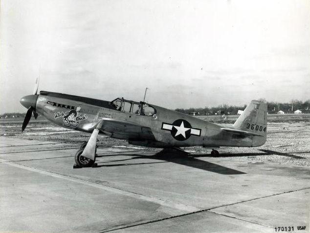 Mustang p 51a slick chick side